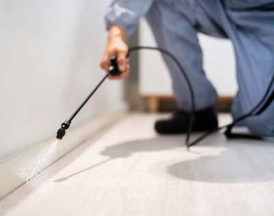 Pesticide Treatment