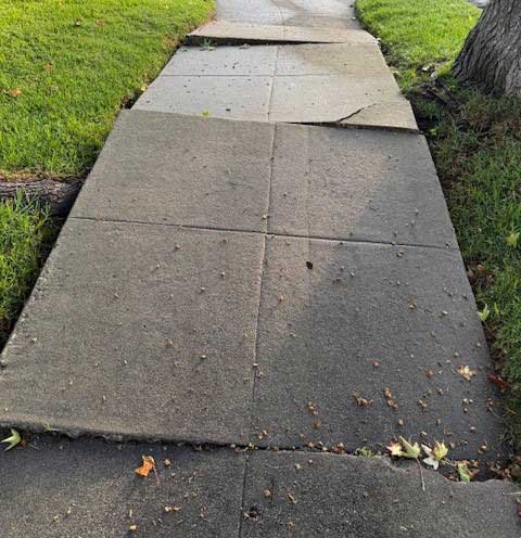 Damaged Sidewalk