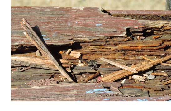 Balcony dry rot for Davis-Stirling inspections. 